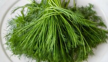 A Cluster Of Bright Green Fennel Fronds Chopped F
