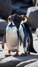  Two Penguins Standing Close To Each Other On A Rocky Surface