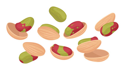 Wall Mural - Pistachio nuts. Delicious tasty pistachios nuts snack, cartoon raw nuts in shell flat vector illustration set. Crunchy pistachio nuts on white