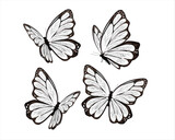 Fototapeta Motyle - Watercolor Butterflies Clipart
