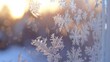 Close-up view of a frosted window with the sun shining in the background, creating a soft backlighting effect.