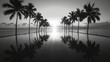 Stunning black and white landscape with palm trees reflection in water at sunrise