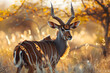 The Serene Solitude: A Captivating Glimpse of a Nyala Antelope in its Natural Wilderness