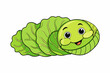 cabbage vector illustration