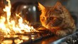 A curious cat jumps onto the kitchen counter inadvertently turning on the stove and causing a fire to start resulting in a hasty evacuation from the house.