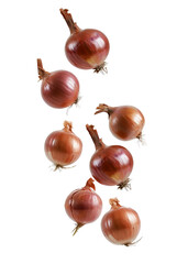 Wall Mural - Brown onions falling over isolated transparent background