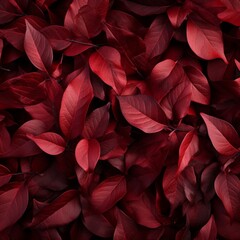 Wall Mural - texture latte red leaves, background, dark red leaves, red leaves, red leaves background, red leaves background