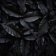 texture latte black leaves, background, dark black leaves, dark leaves, black leaves background