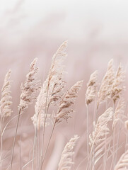  A close-up view captures a beautiful bunch of vibrant flowers, their delicate petals illuminated by soft light, while the background fades into a dreamy blur.