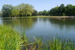 Wörlitzer See im Wörlitzer Park im Dessau-Wörlitzer Gartenreich