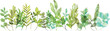 水彩画。水彩タッチで描いた草木ベクターイラスト。緑のハーブイラストセット。Watercolor painting. Herbs and trees vector illustration with watercolor touch. Green herbs illustration set.