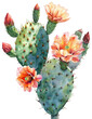 Watercolor Painting of Cactus with Flowers, isolated on White . AI generated Illustration.