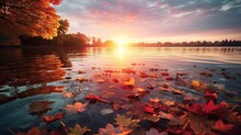 Autumn Leaves Floating On Lake Water With Beautiful Sunset View. Landscape Nature Background.