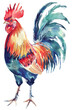 Watercolor Painting of Rooster, isolated on White Background. AI generated Illustration.