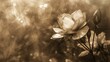 Tight angle, abstract bloom, rustic charm, soft sepia, daylight filter, timeless elegance 