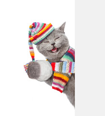 Aufkleber - Happy cat wearing warm winter knitted woolen hat with pompon and scarf holds snowball and looks from behind empty white banner. Isolated on white background