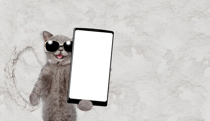 Poster - Happy cat making snow angel while lying on snow and holding smartphone with white blank screen in it paw. Empty space for text
