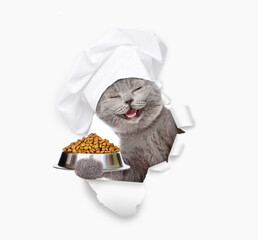 Aufkleber - Happy cat wearing chef's hat holding bowl of dry pets food and looking through the hole in white paper