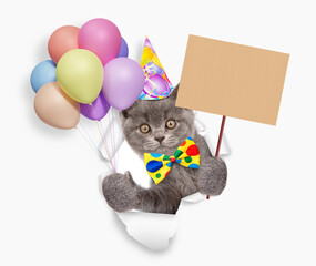 Aufkleber - Cute kitten wearing tie bow and party cap looking through the hole in white paper, holding balloons and showing empty placard
