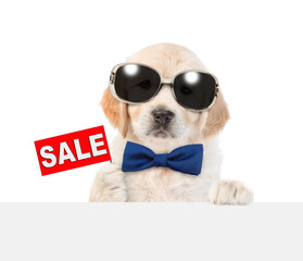 Aufkleber - Cute Golden retriver puppy wearing sunglasses and tie bow shows signboard with labeled 