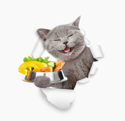 Poster - Happy cat holds bowl of vegetables  and looks through the hole in white paper