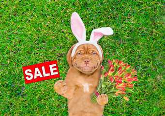 Aufkleber - Smiling Mastiff puppy wearing easter rabbits ears holds bouquet of tulips and shows signboard with labeled 
