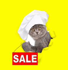 Poster - Cute kitten wearing chef's hat looking through a hole in yellow paper and holding signboard with labeled 