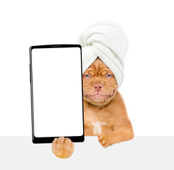 Fototapete - Mastiff puppy with towel on it head holds  big smartphone with white blank screen in it paw above empty white banner. isolated on white background