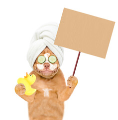 Poster - Smiling Mastiff puppy with towel on it head, with cream on it face shows empty placard and holds rubber duck. isolated on white background