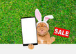 Smiling Mastiff puppy wearing easter rabbits ears holds big smartphone with white blank screen in it paw and shows signboard with labeled 