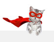 Cute kitten wearing superhero costume looking above empty white banner. Isolated on white background.