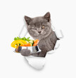 Winking kitten holds bowl of vegetables  and looks through the hole in white paper