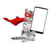 Cute tabby kitten wearing superhero costume shows big smartphone with white blank screen in it paw. Isolated on white background