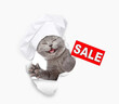 Happy kitten wearing chef's hat looking through a hole in white paper and holding signboard with labeled 