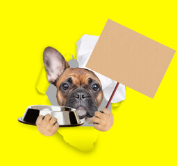 Poster - French bulldog puppy wearing chef's hat looking through the hole in yellow paper, holding empty bowl and  showing empty placard