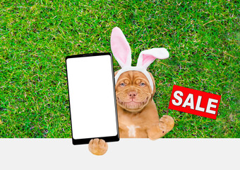 Aufkleber - Smiling Mastiff puppy wearing easter rabbits ears holds big smartphone with white blank screen in it paw and shows signboard with labeled 