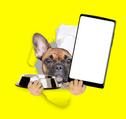 Poster - Cute french bulldog puppy wearing chef's hat looks through a hole in yellow paper, holds empty bowl and shows smartphone with white blank screen in it paw, Empty free space for mock up, banner