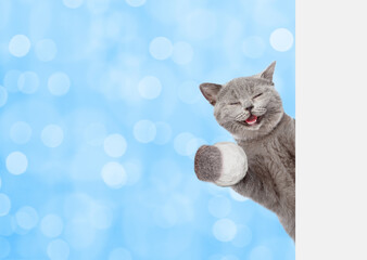 Aufkleber - Happy cat holds snowball behind empty white banner. Isolated on white background