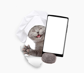 Poster - Happy cat wearing chef's hat looks through a hole in white paper and shows smartphone with white blank screen in it paw, Empty free space for mock up, banner