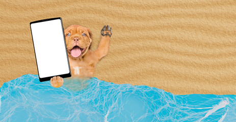 Poster - Funny Mastiff puppy lying at beach and showing big smartphone with white blank screen in it paw. Empty space for text