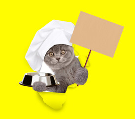 Poster - Cat wearing chef's hat looking through the hole in yellow paper, holding empty bowl and  showing empty placard. isolated on white background