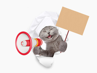 Poster - Happy cat wearing chef's hat looking through the hole in white paper meowing into the megaphone and showing empty placard