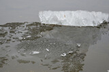 Fototapeta Tęcza - a floating piece of ice