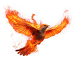 PNG Bird bird fire burning