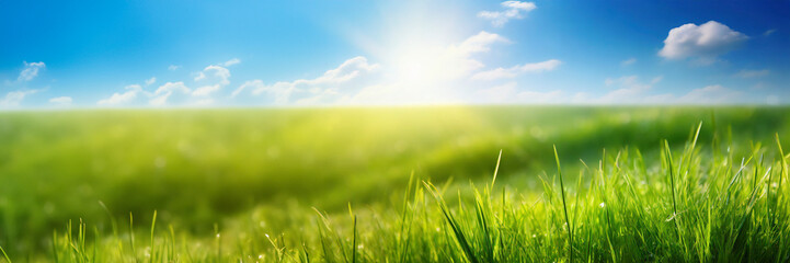 Canvas Print - Green grass and blue sky with clouds. Panoramic background.