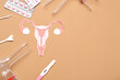 Paper uterus with gynecological speculums, pills and pap smear test tools on brown background