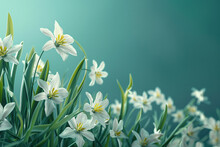White And Yellow Daffodils And Flowers Bloom In A Garden Surrounded By Nature's Beauty Of Spring And Summer, Showcasing The Vibrant Colors Of White And Yellow Amidst The Lush Greenery