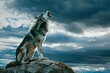 A wolf sitting on a rock with a stormy sky in the background