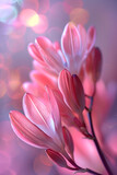 Fototapeta Kwiaty - A closeup of a pink flower on a purple background