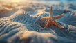 Starfish on sand, abstract form, close-up, low angle, marine star, morning light